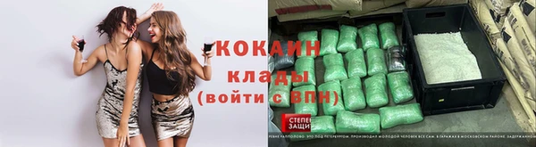 дмт Алексин