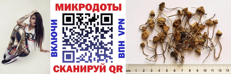 Псилоцибиновые грибы ЛСД  omg маркетплейс  Кореновск  купить  сайты 
